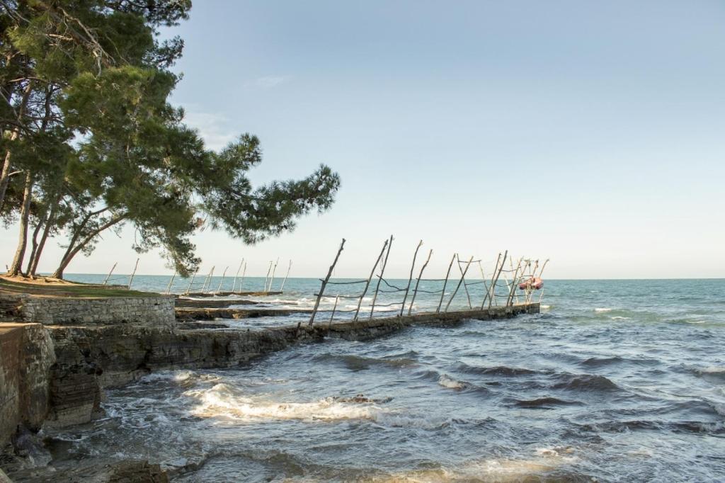 Villa Franka 113 Bašanija المظهر الخارجي الصورة